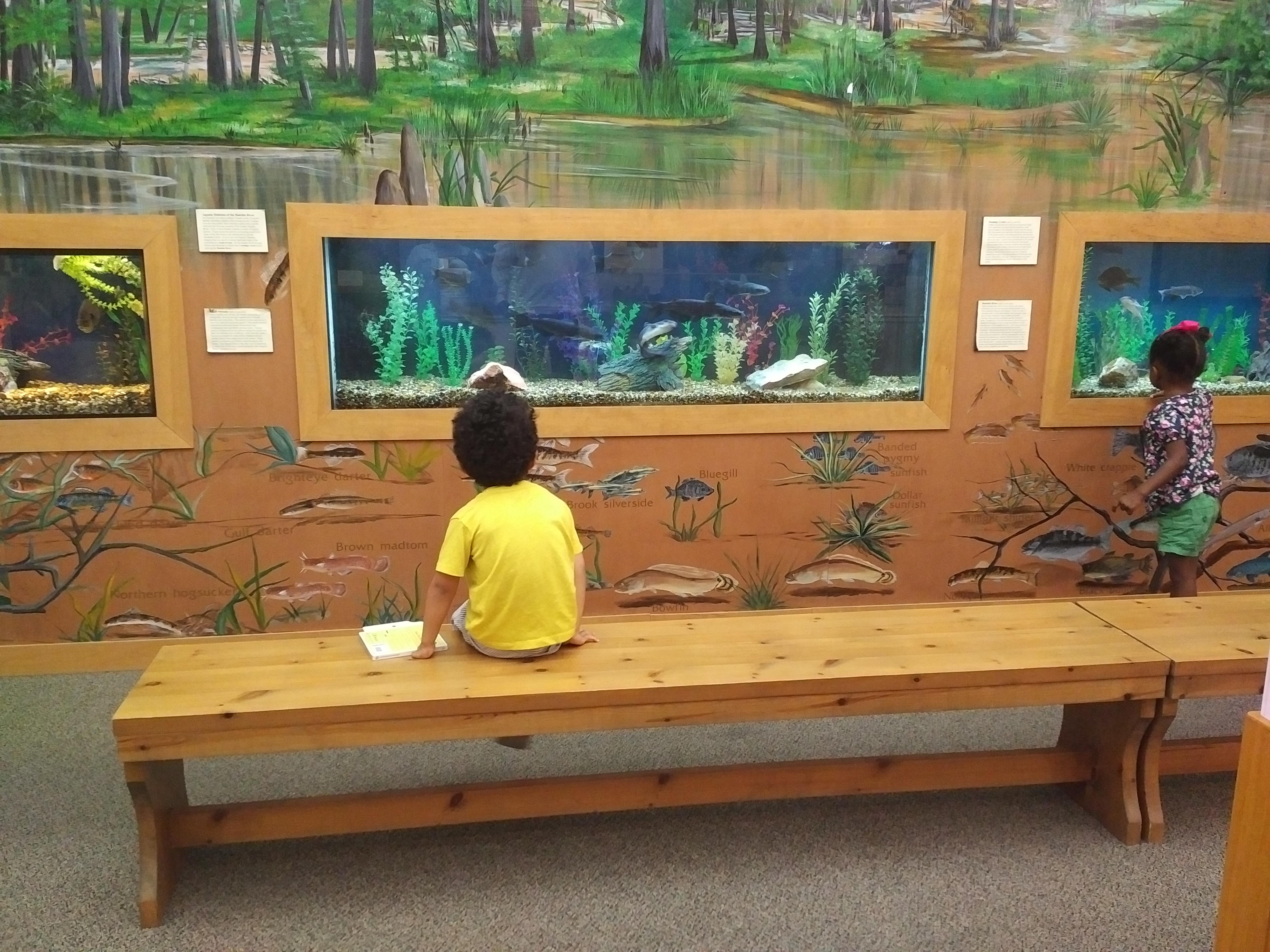 2018 TN Brownsville Delta Heritage Center - aquarium kids