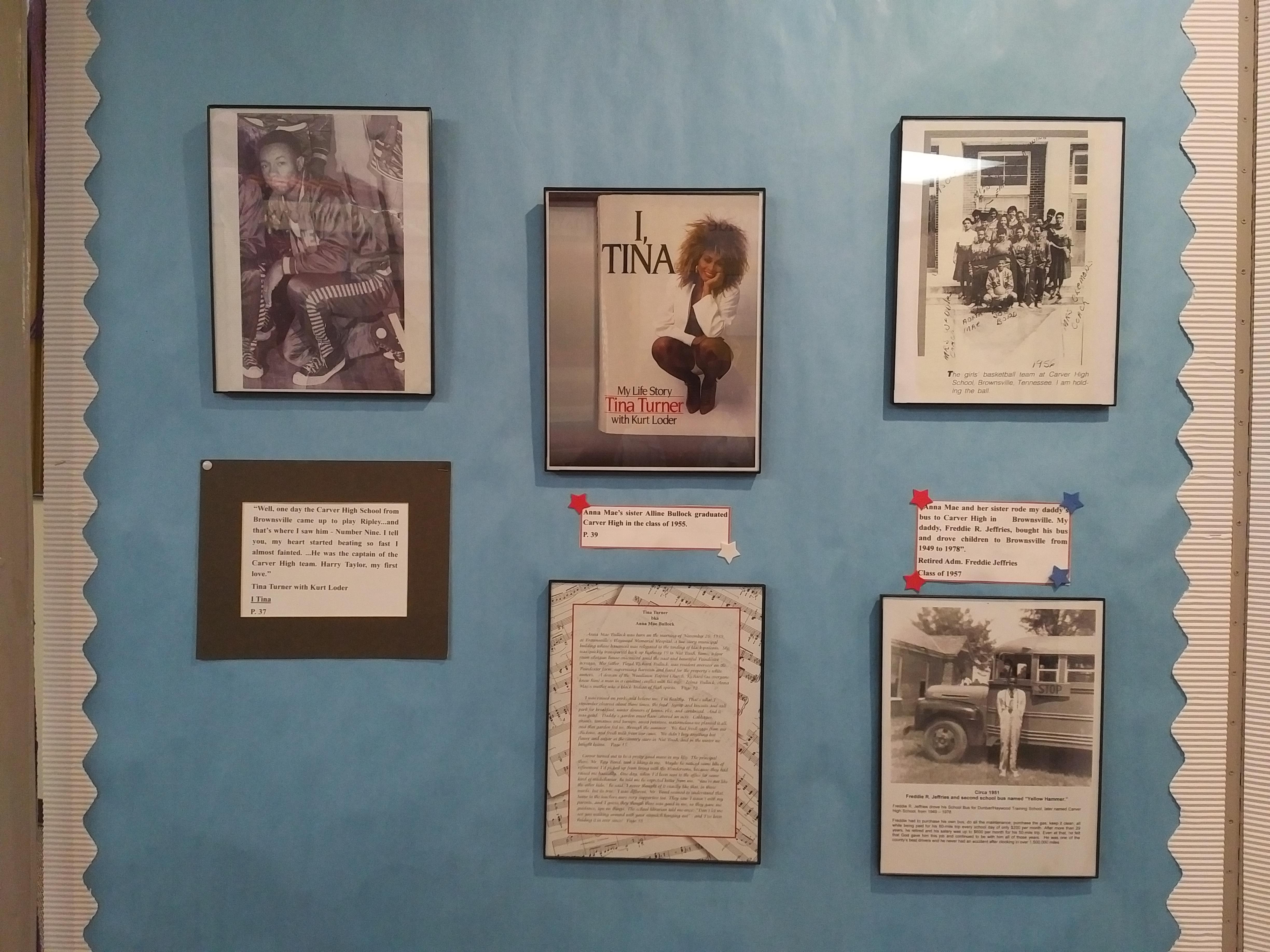 2018 TN Brownsville Dunbar Carver Museum Tina Turner wall